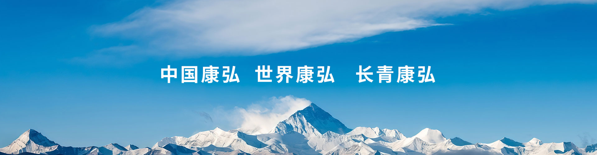 走进6008集团